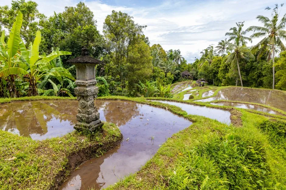 bali trip cost