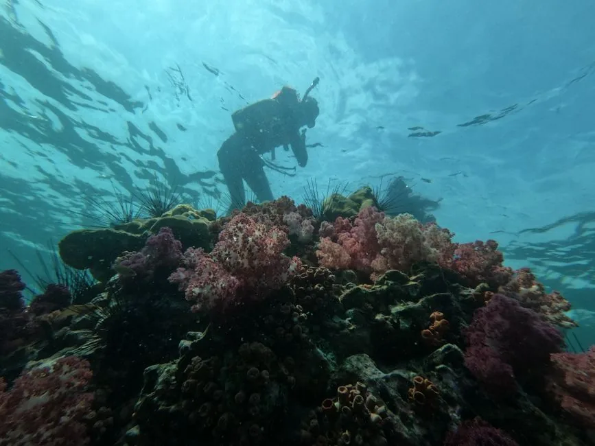 scuba diving trip cost