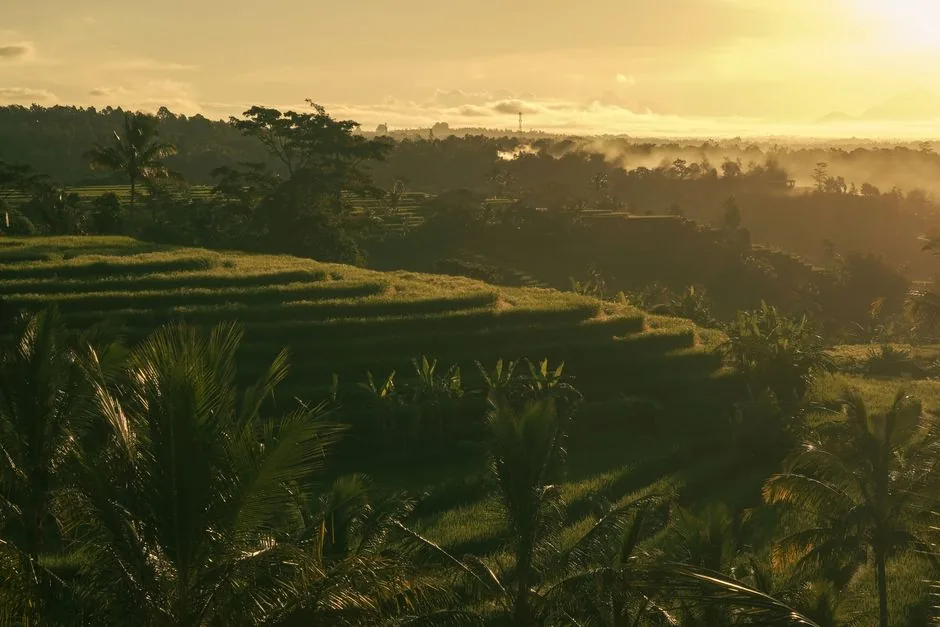 Bali trip cost: budget, mid-range and luxury spending at a glance