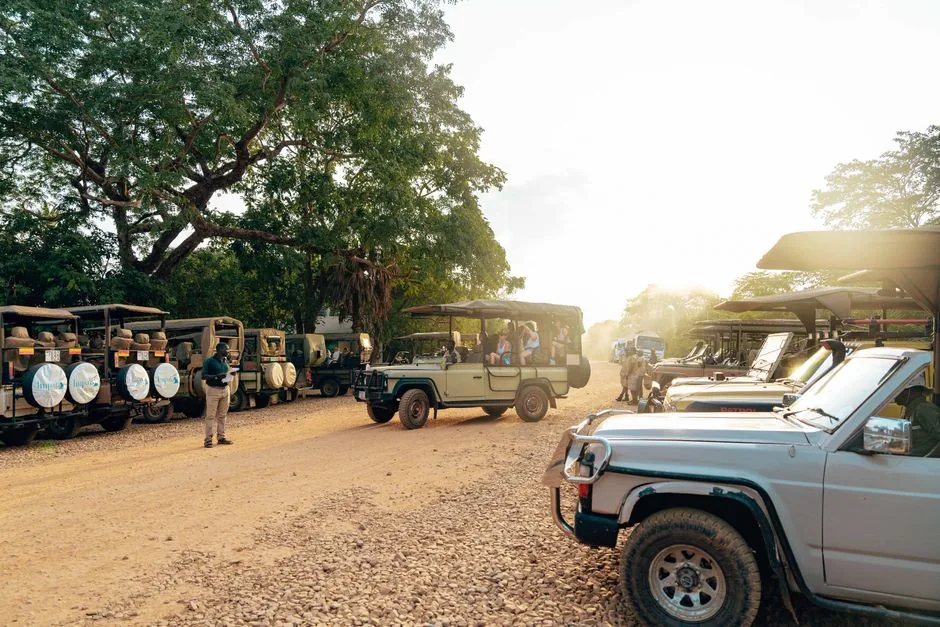 top safari parks and wildlife