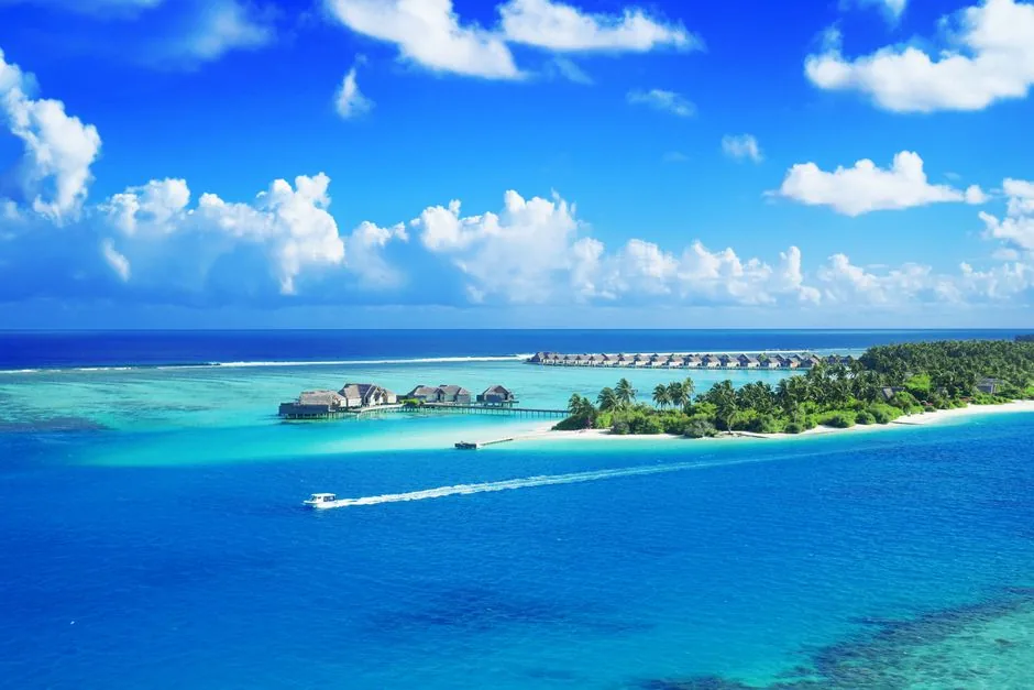 Maldives trip cost for a couple on a budget