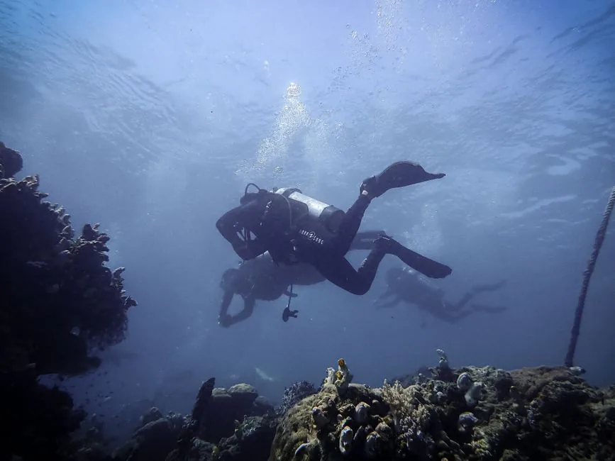 scuba diving trip cost comparison