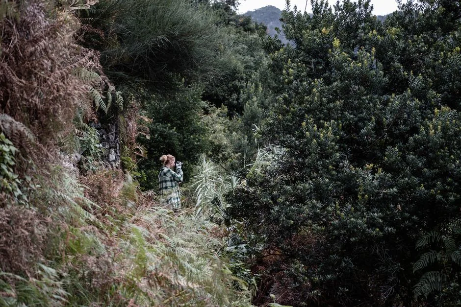 adventure sports insurance hiking