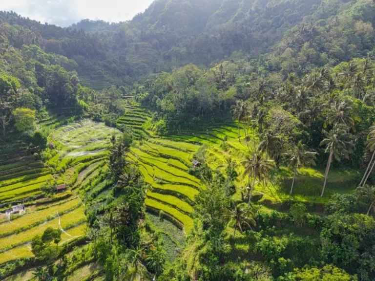 Bali Trip Cost in 2026: A Complete Budget Guide
