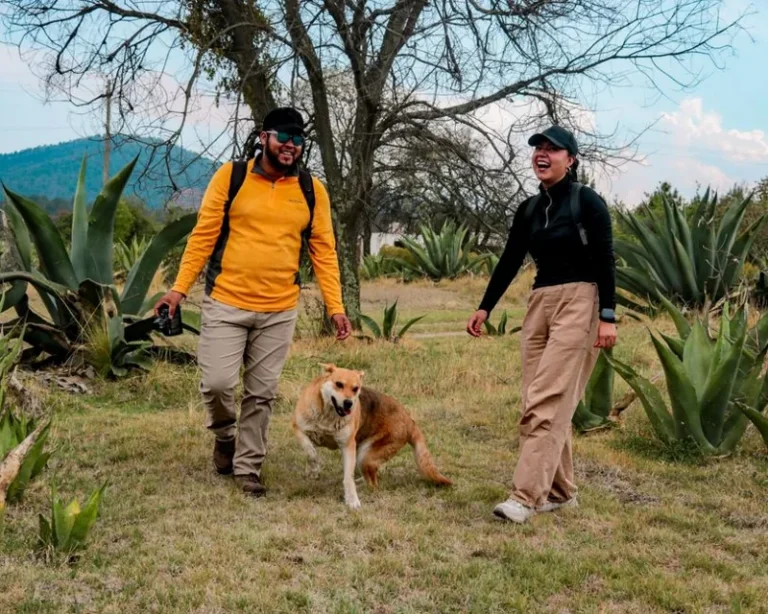 The Best Adventure Travel Companies in 2026