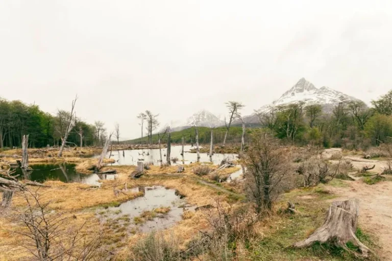 Patagonia Trip Cost in 2026: A Complete Chile vs Argentina Budget Guide
